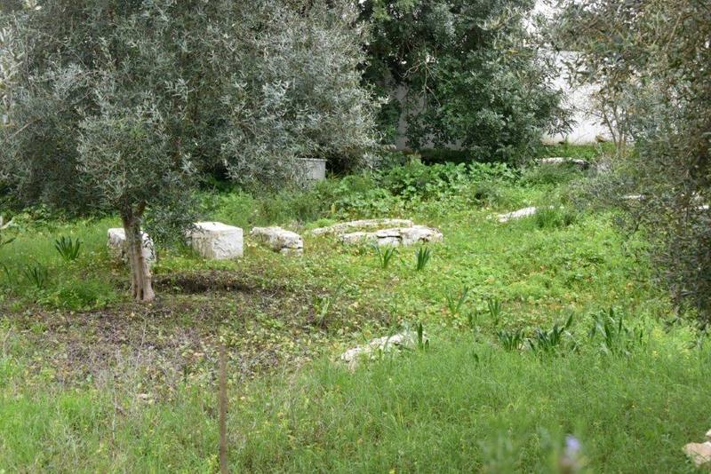 maroc ouezane cimetiere juif tombes ZBL 0660 (25)